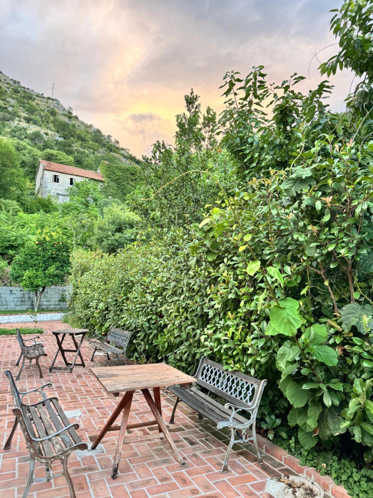 Carine Garden Apartment Risan Exterior photo