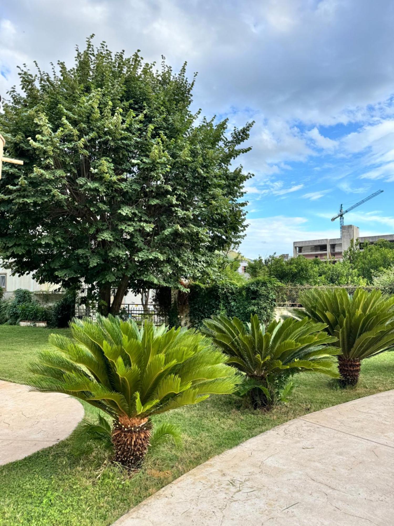 Carine Garden Apartment Risan Exterior photo
